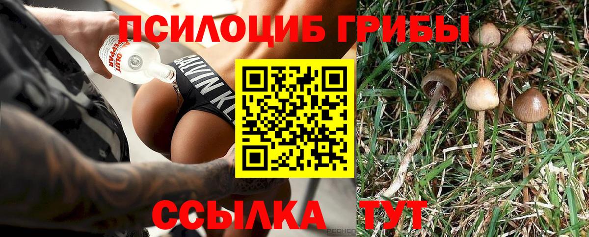 Галлюциногенные грибы Cubensis  Псилоцибиновые грибы ЛСД  Барабинск  Вход с VPN 